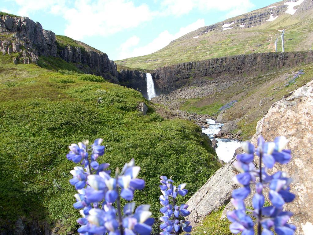 Reydarfjordur Apartment Extérieur photo